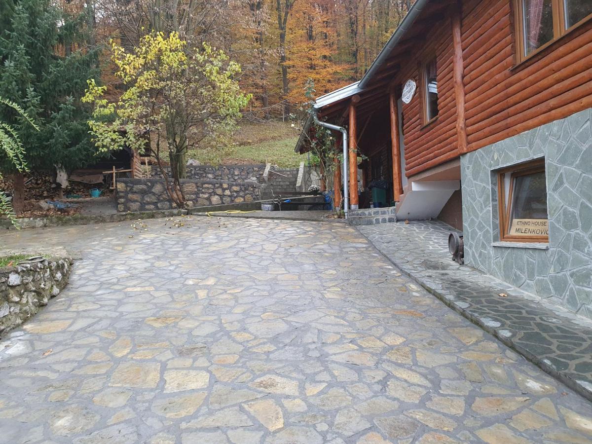 Villa Etno Domacinstvo Milenkovic Despotovac Exterior foto