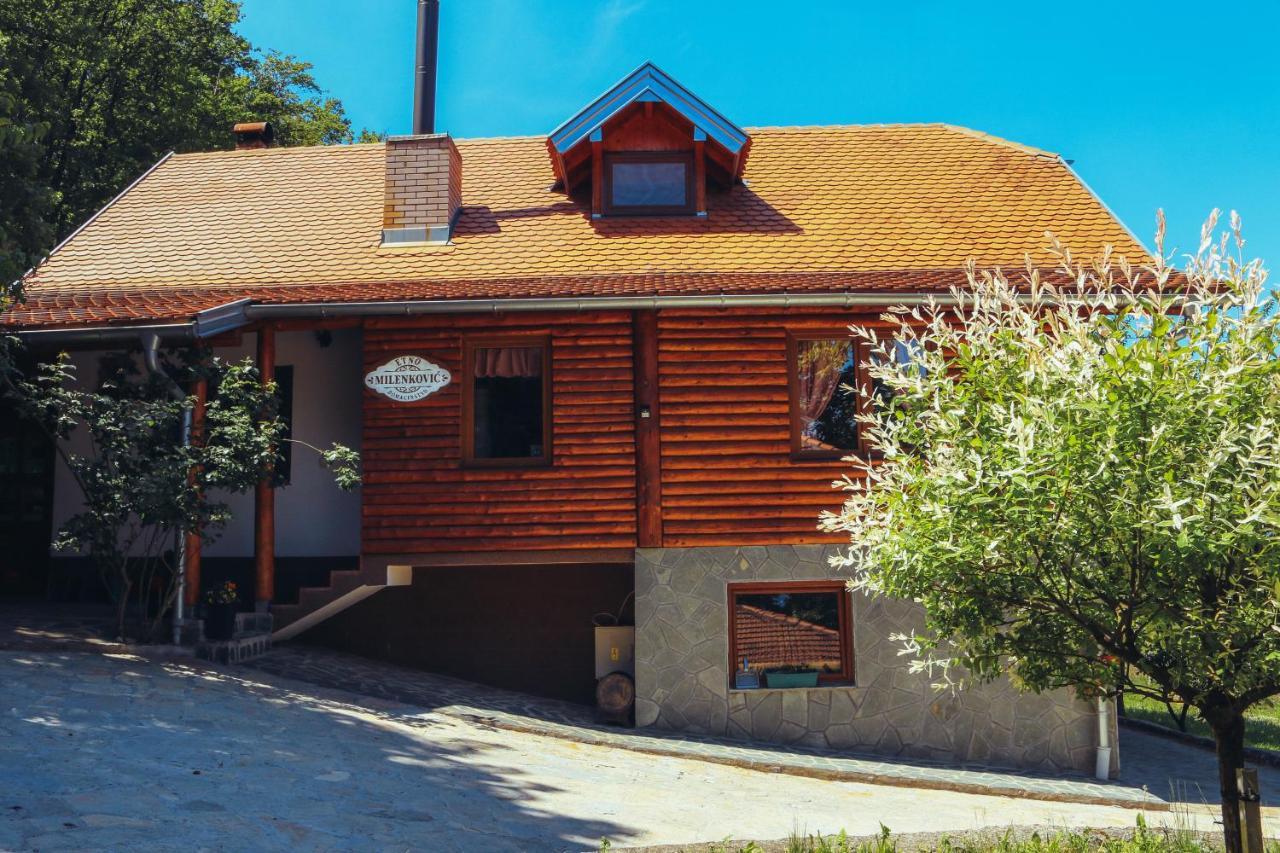 Villa Etno Domacinstvo Milenkovic Despotovac Exterior foto
