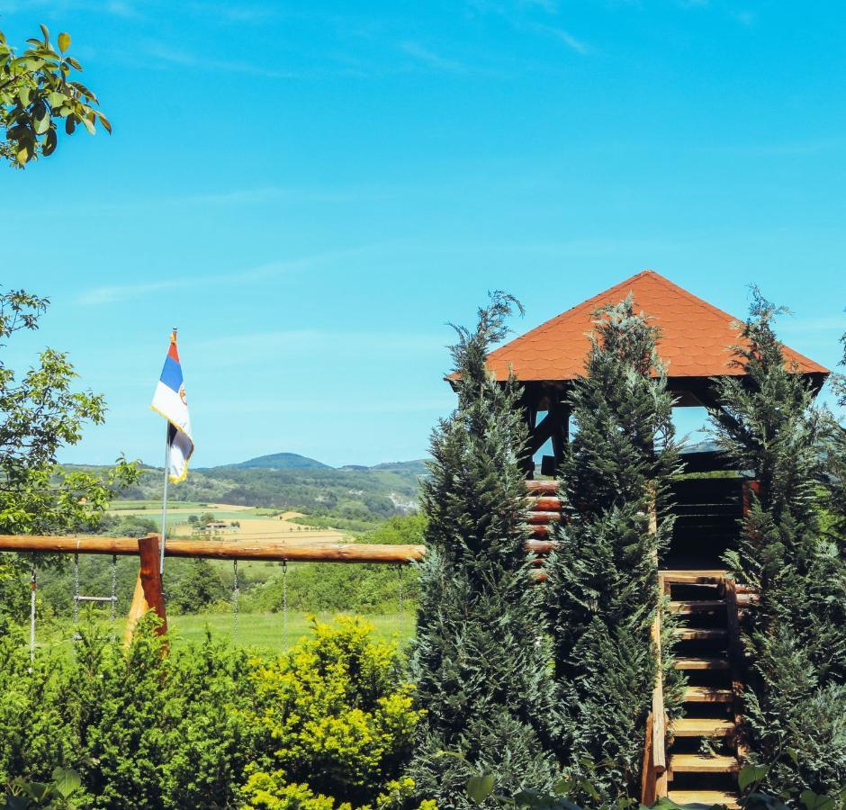 Villa Etno Domacinstvo Milenkovic Despotovac Exterior foto