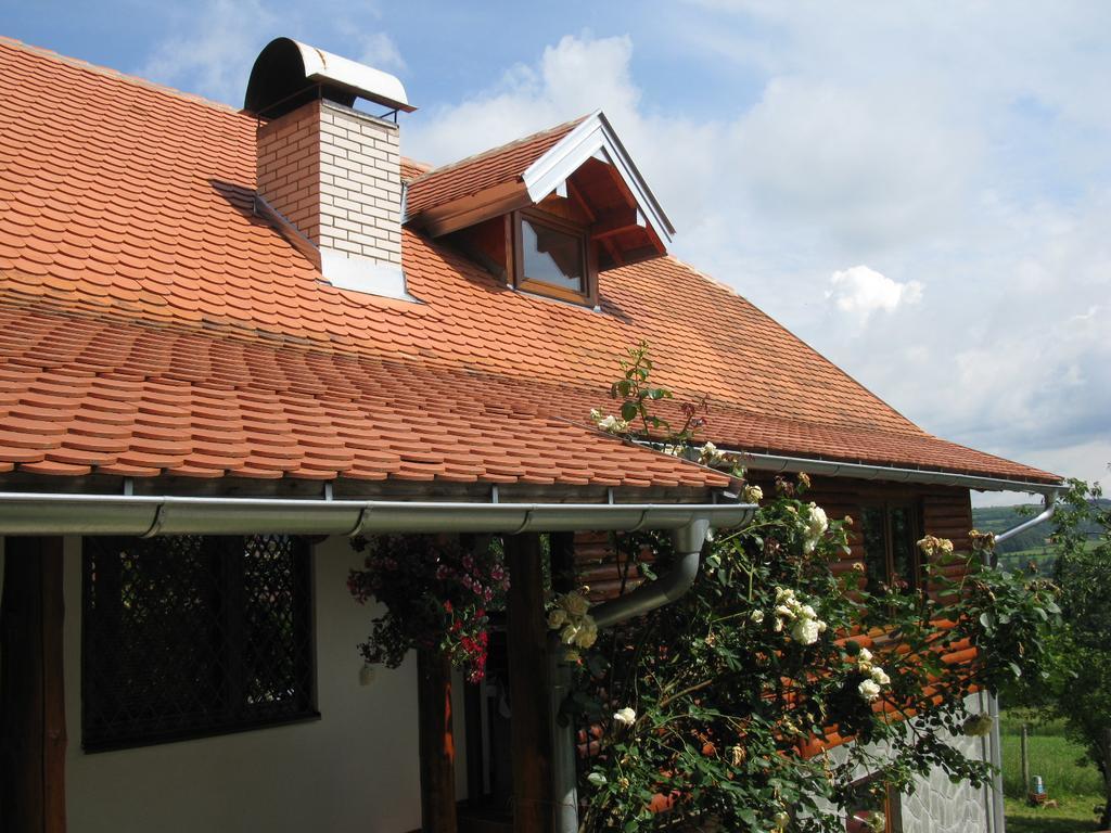 Villa Etno Domacinstvo Milenkovic Despotovac Exterior foto