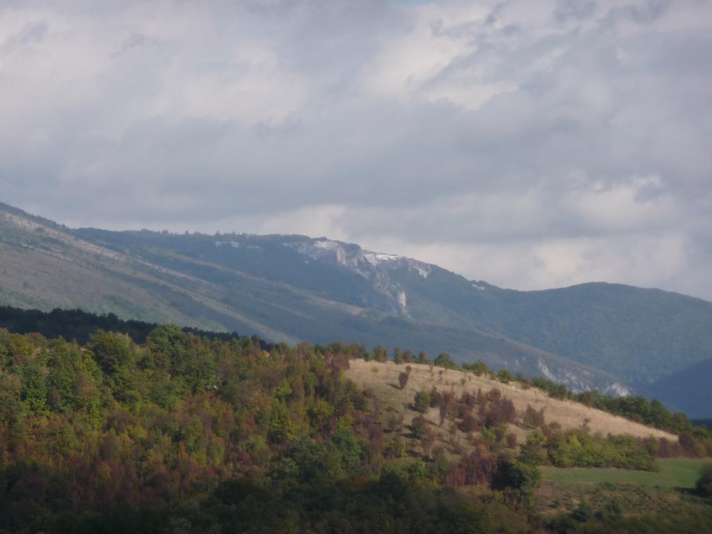 Villa Etno Domacinstvo Milenkovic Despotovac Exterior foto