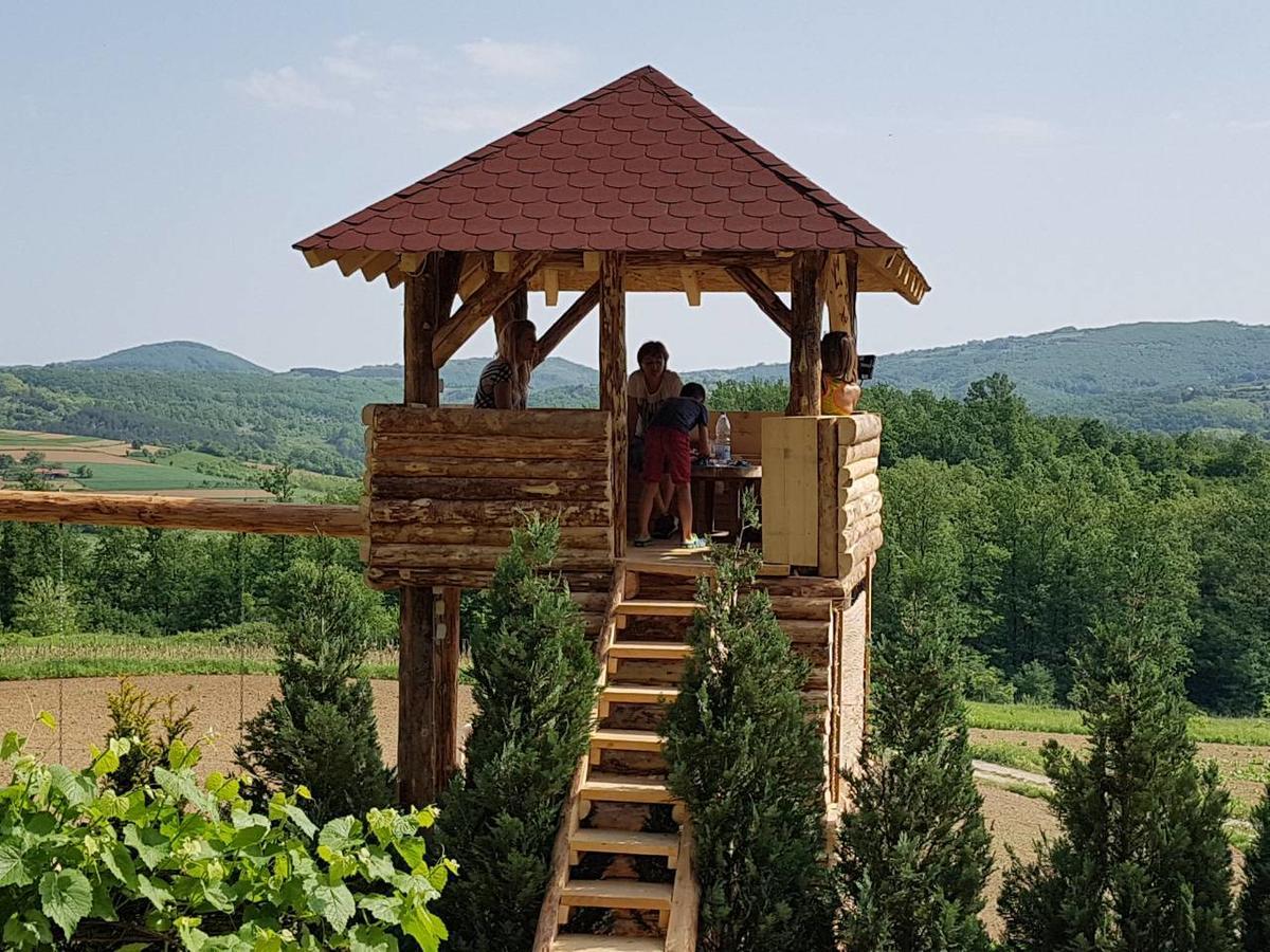 Villa Etno Domacinstvo Milenkovic Despotovac Exterior foto