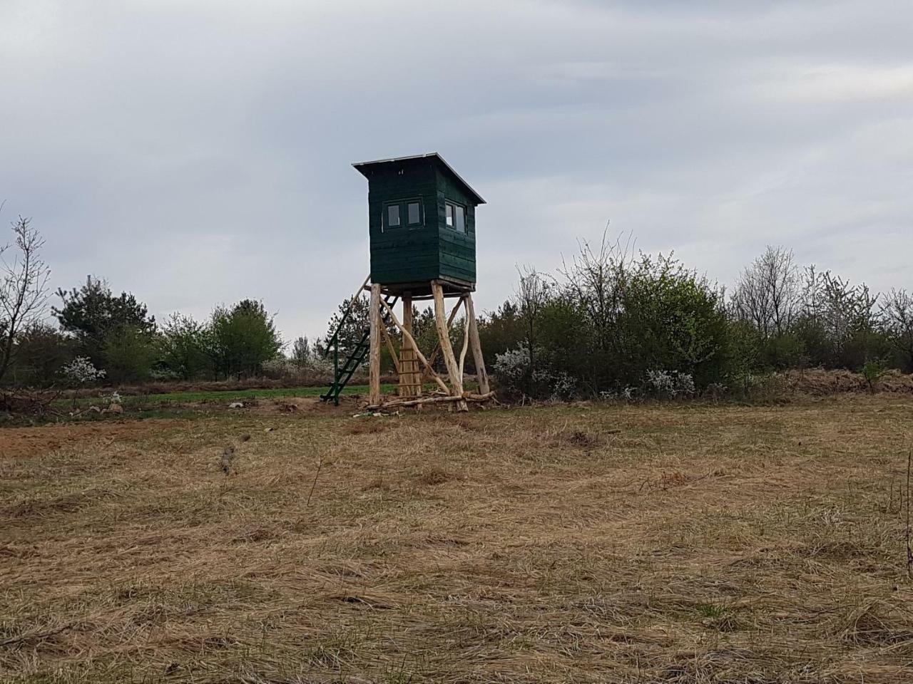 Villa Etno Domacinstvo Milenkovic Despotovac Exterior foto